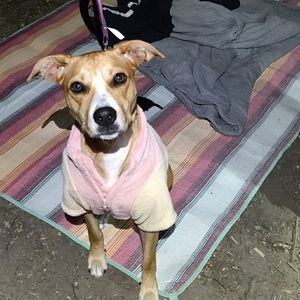 Meet your Posher, Ann